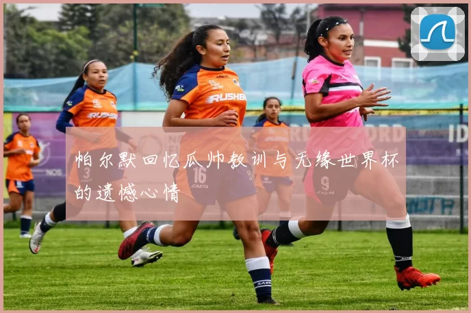 帕尔默回忆瓜帅教训与无缘世界杯的遗憾心情