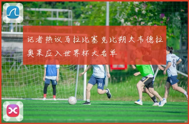 记者热议马拉比塞克比朔夫韦德拉奥果应入世界杯大名单